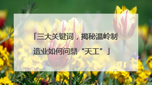 三大关键词，揭秘温岭制造业如何问鼎“天工”