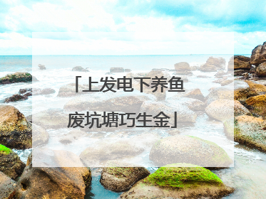 上发电下养鱼 废坑塘巧生金