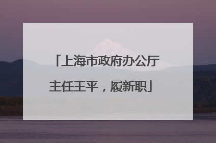 上海市政府办公厅主任王平，履新职