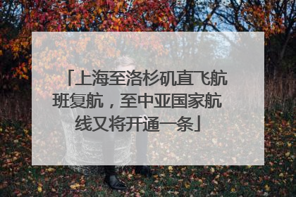 上海至洛杉矶直飞航班复航，至中亚国家航线又将开通一条