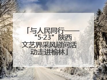 与人民同行——“5·23”陕西文艺界采风慰问活动走进榆林