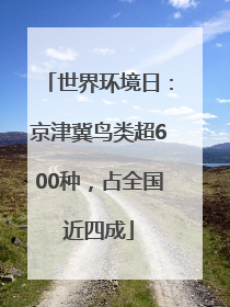 世界环境日：京津冀鸟类超600种，占全国近四成