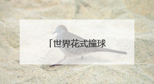世界花式撞球协会主席：中式九球未来可期