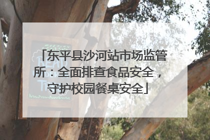 东平县沙河站市场监管所：全面排查食品安全，守护校园餐桌安全