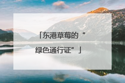 东港草莓的“绿色通行证”