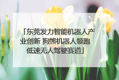 东莞发力智能机器人产业创新 狗熊机器人领跑低速无人驾驶赛道