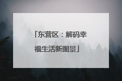 东营区：解码幸福生活新图景