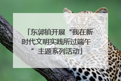 东郭镇开展“我在新时代文明实践所过端午”主题系列活动