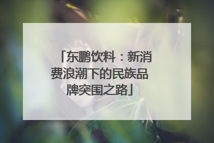 东鹏饮料：新消费浪潮下的民族品牌突围之路