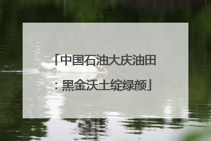 中国石油大庆油田：黑金沃土绽绿颜