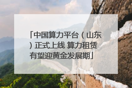 中国算力平台（山东）正式上线 算力租赁有望迎黄金发展期