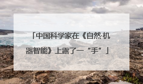 中国科学家在《自然·机器智能》上露了一“手”