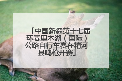 中国新疆第十七届环赛里木湖（国际）公路自行车赛在精河县鸣枪开赛