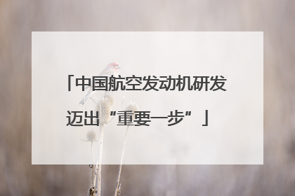 中国航空发动机研发迈出“重要一步”