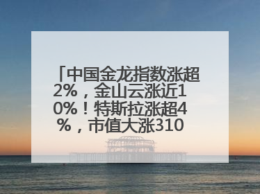 中国金龙指数涨超2%，金山云涨近10%！特斯拉涨超4%，市值大涨3100亿元！比特币涨回11万美元关口