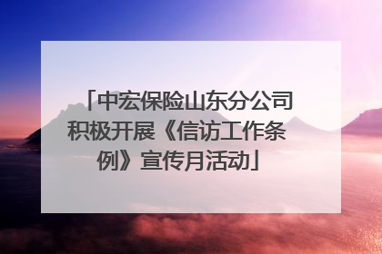 中宏保险山东分公司积极开展《信访工作条例》宣传月活动