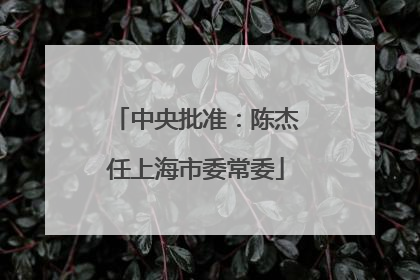 中央批准：陈杰任上海市委常委