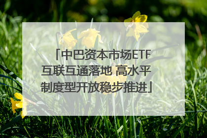 中巴资本市场ETF互联互通落地 高水平制度型开放稳步推进
