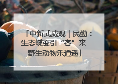 中新武威观｜民勤：生态蝶变引“客”来 野生动物乐逍遥