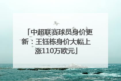中超联赛球员身价更新：王钰栋身价大幅上涨110万欧元