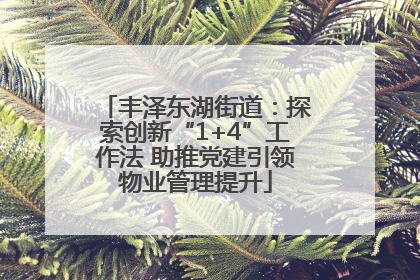 丰泽东湖街道：探索创新“1+4”工作法 助推党建引领物业管理提升