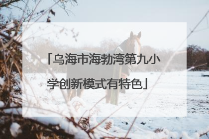 乌海市海勃湾第九小学创新模式有特色