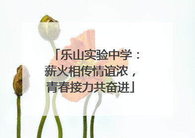 乐山实验中学：薪火相传情谊浓，青春接力共奋进