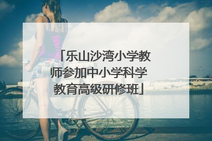 乐山沙湾小学教师参加中小学科学教育高级研修班