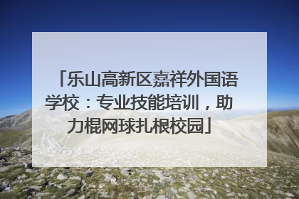 乐山高新区嘉祥外国语学校：专业技能培训，助力棍网球扎根校园