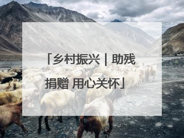 乡村振兴｜助残捐赠 用心关怀