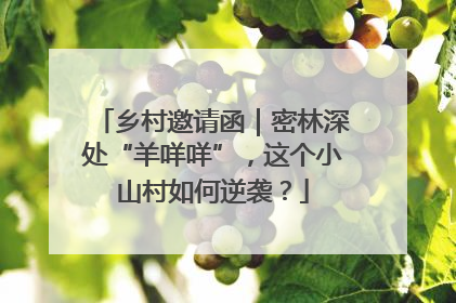乡村邀请函｜密林深处“羊咩咩”，这个小山村如何逆袭？