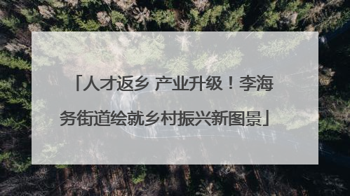 人才返乡 产业升级！李海务街道绘就乡村振兴新图景