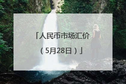 人民币市场汇价（5月28日）