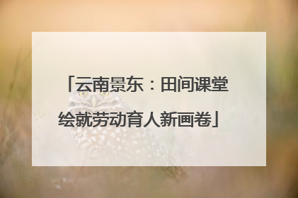 云南景东：田间课堂绘就劳动育人新画卷