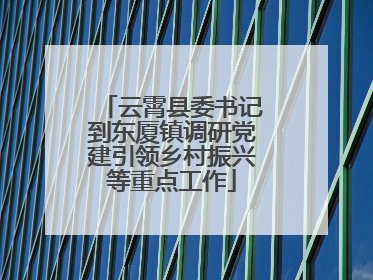 云霄县委书记到东厦镇调研党建引领乡村振兴等重点工作