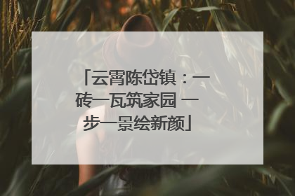 云霄陈岱镇：一砖一瓦筑家园 一步一景绘新颜