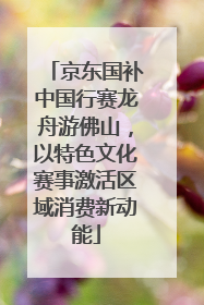 京东国补中国行赛龙舟游佛山，以特色文化赛事激活区域消费新动能