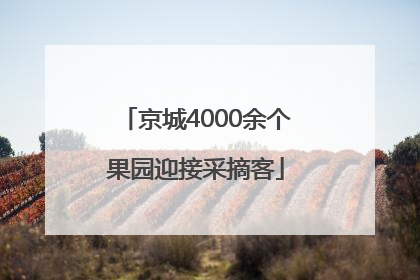 京城4000余个果园迎接采摘客