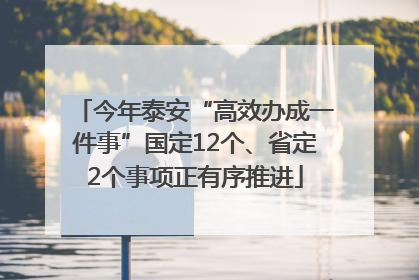 今年泰安“高效办成一件事”国定12个、省定2个事项正有序推进