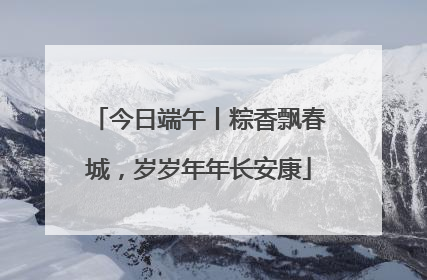 今日端午丨粽香飘春城，岁岁年年长安康