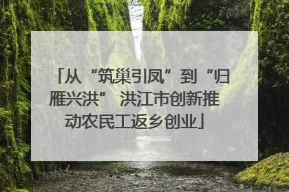 从“筑巢引凤”到“归雁兴洪” 洪江市创新推动农民工返乡创业