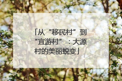 从“移民村”到“宜游村”：大源村的美丽蜕变