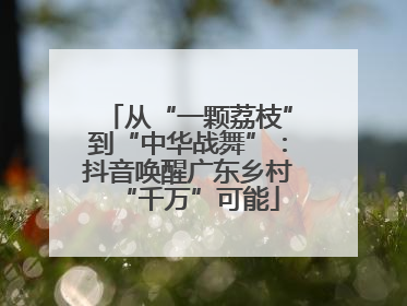 从“一颗荔枝”到“中华战舞”：抖音唤醒广东乡村“千万”可能