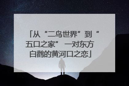 从“二鸟世界”到“五口之家” 一对东方白鹳的黄河口之恋