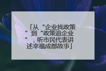 从“企业找政策”到“政策追企业”，听市民代表讲述幸福成都故事