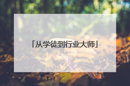 从学徒到行业大师
