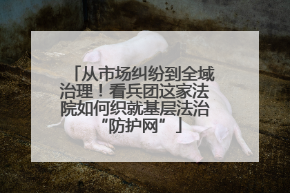 从市场纠纷到全域治理！看兵团这家法院如何织就基层法治 “防护网”