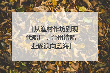 从渔村作坊到现代船厂，台州造船业逐浪向蓝海
