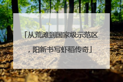 从荒滩到国家级示范区，阳新书写虾稻传奇