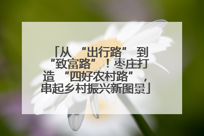 从 “出行路” 到 “致富路”！枣庄打造 “四好农村路”，串起乡村振兴新图景